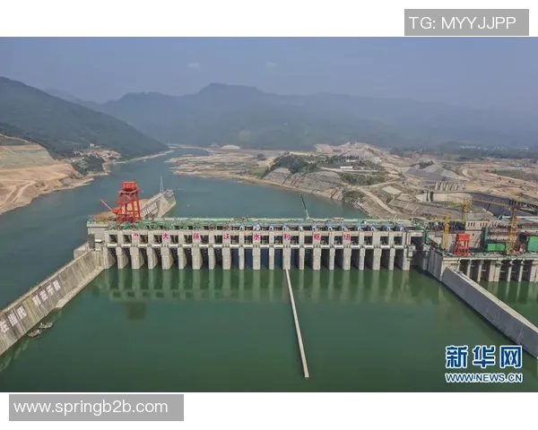 杭州极限运动队个人能力分析与发展潜力探讨