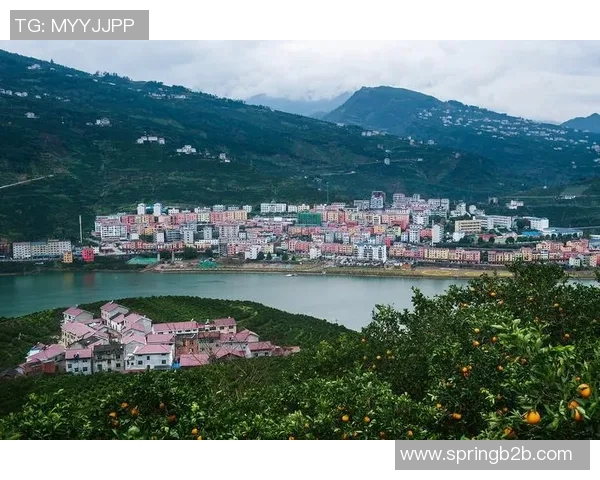 探索埃斯特旺的历史与文化魅力，感受独特风情与人文底蕴