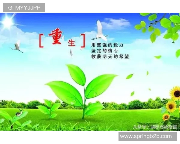 王岚：从平凡到卓越的奋斗之路与人生启示