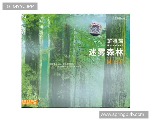 班得瑞与乌林济之星的音乐之旅谁将引领心灵的共鸣与感动 班得瑞与乌林济之星的音乐之旅谁将引领心灵的共鸣与感动