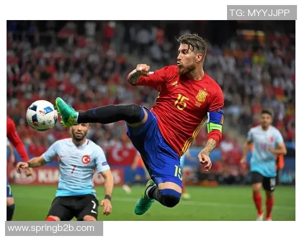 2016法国欧洲杯精彩回顾与经典瞬间盘点分析